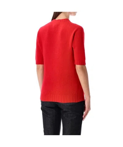Fabiana Filippi Short Sleeve Cashmere Knit Sweater In Red