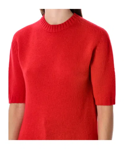 Fabiana Filippi Short Sleeve Cashmere Knit Sweater In Red