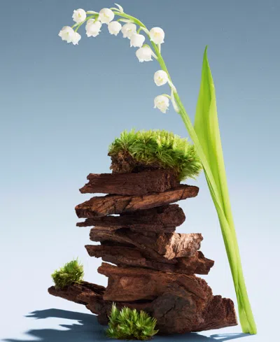 Miu Miu L'eau De Muguet Eau De Parfum, 3.3 Oz. In Multi