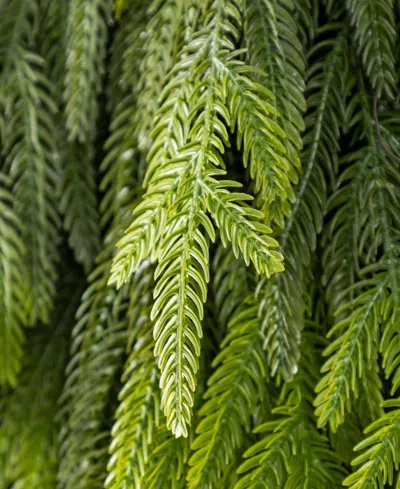 Glitzhome Christmas Greenery Dripping Teardrop And Matched Garlands, Set Of 3 In Multi