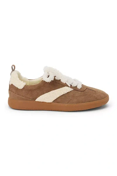 Coconuts By Matisse Wylder Sneakers In Brown