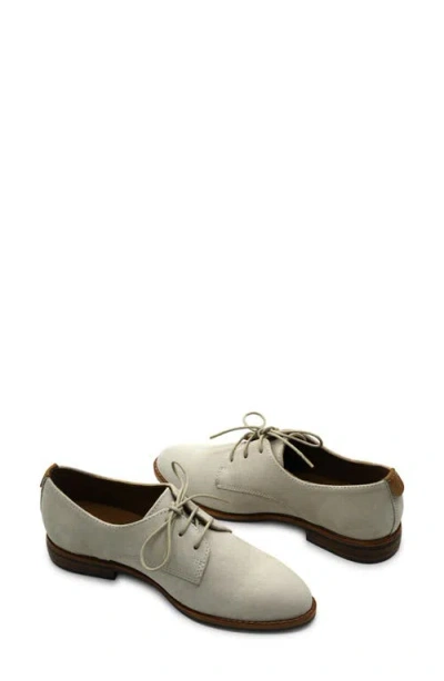 Gentle Souls Women's Aronson Almond Toe Suede Lace-up Oxford Shoes In Gray