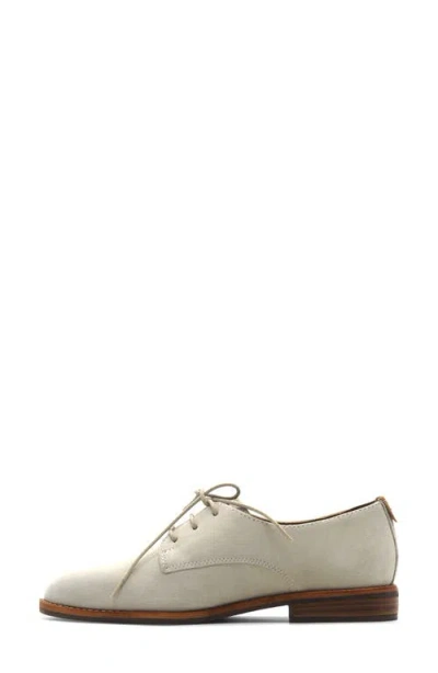 Gentle Souls Women's Aronson Almond Toe Suede Lace-up Oxford Shoes In Gray