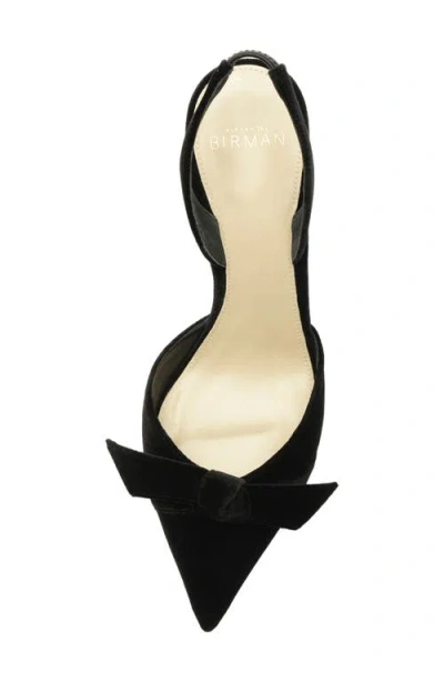 Alexandre Birman Clarita Bow Pointed Toe Slingback Sandal In Black