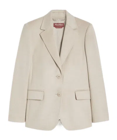 Max Mara Single-breasted Wool Broadcloth Blazer In Brown