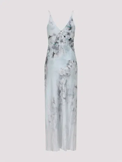 Alberta Ferretti Alberta Ferreti Printed Evening Dress In Animal Print