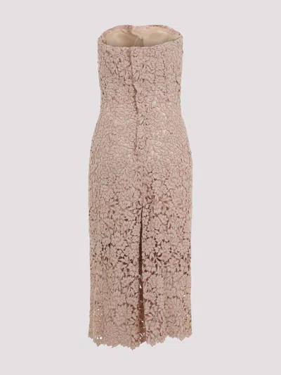 Ermanno Scervino Strapless Midi Dress With Floral Embroidery In Brown