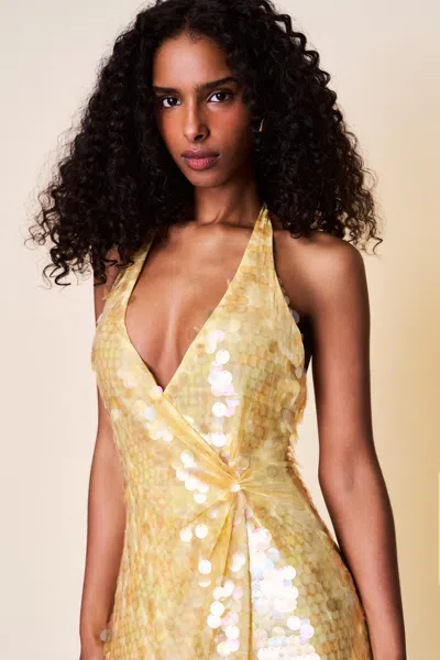Danielle Guizio Ny Besora Sequin Dress In Brown