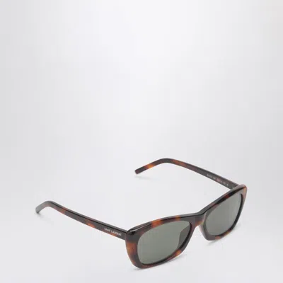 Saint Laurent Sl 613 Havana Sunglasses In Brown