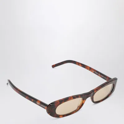 Saint Laurent Sl 557 Shade Havana Sunglasses In Multi