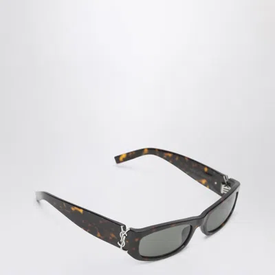 Saint Laurent Sl M152 Havana Sunglasses In Brown