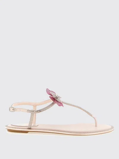 René Caovilla Rene Caovilla Fairy Pink Flat Sandal 10 In Pink
