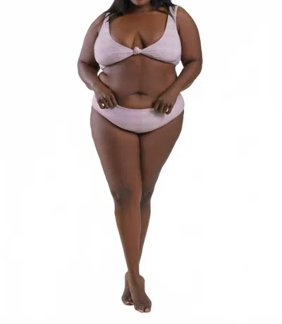 Nomads Playa Bikini Bottom - Plus In Primrose In Purple