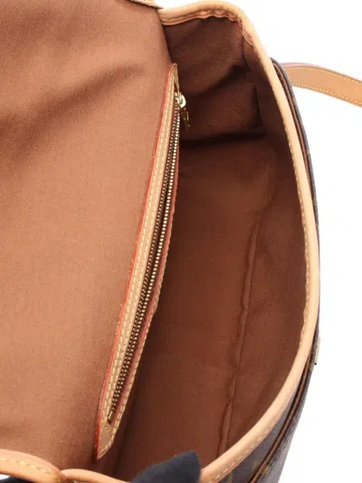 Pre-owned Louis Vuitton 2006 Sologne Monogram Shoulder Bag In Brown