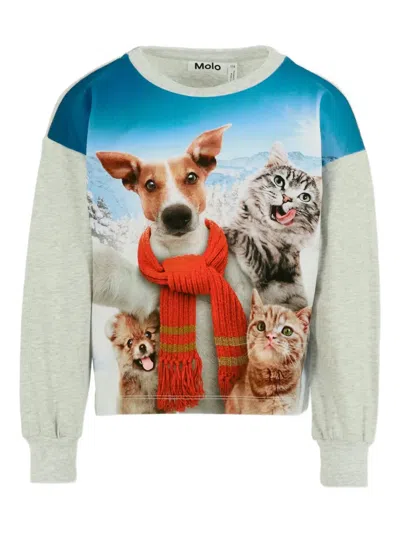 Molo Grey T-shirt For Kids With Dog And Cat In Gray