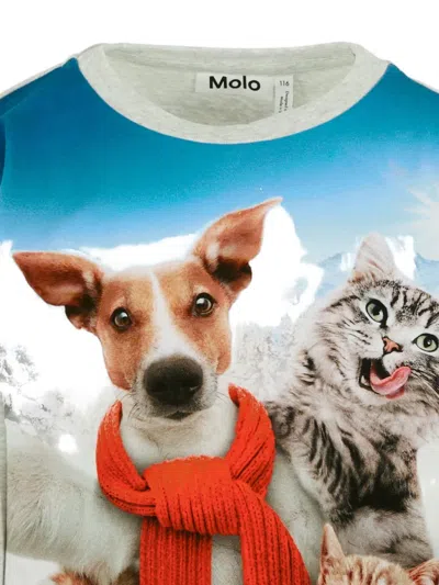 Molo Grey T-shirt For Kids With Dog And Cat In Gray