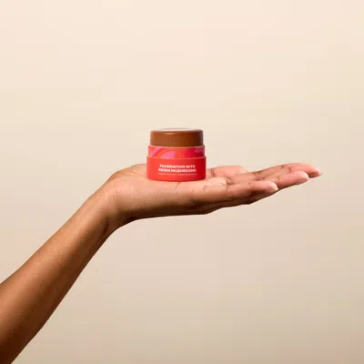 Axiology Fungdation - Reishi Mushroom Foundation In Red