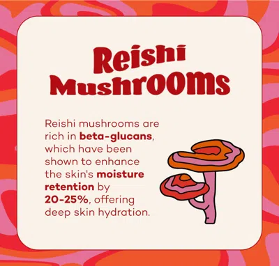 Axiology Fungdation - Reishi Mushroom Foundation In Red