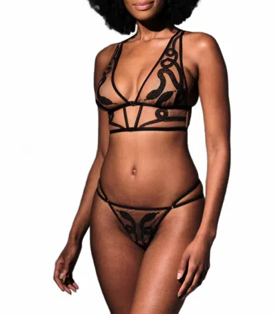 Thistle And Spire Medusa Bralette - Plus In Toffee In Brown