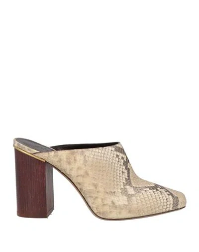 Chloé Ambre Snake-effect Leather Mules In Brown