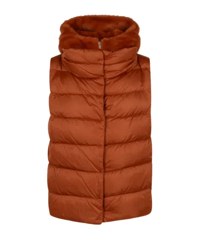 Herno Quilted Gilet In Burgundy