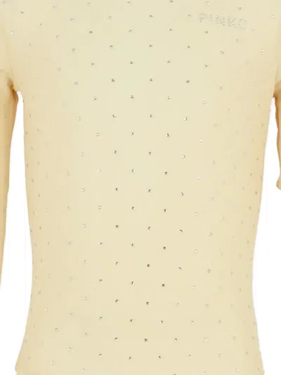 Pinko Crystal-embellishment Long-sleeve Bodysuit In Brown