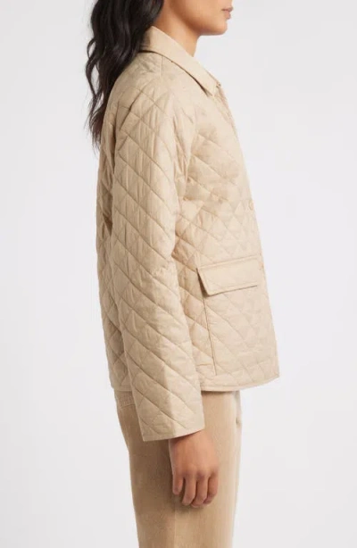 Eileen Fisher Eggshell Recycled Nylon Quilted Classic Collar Jacket In Neutral
