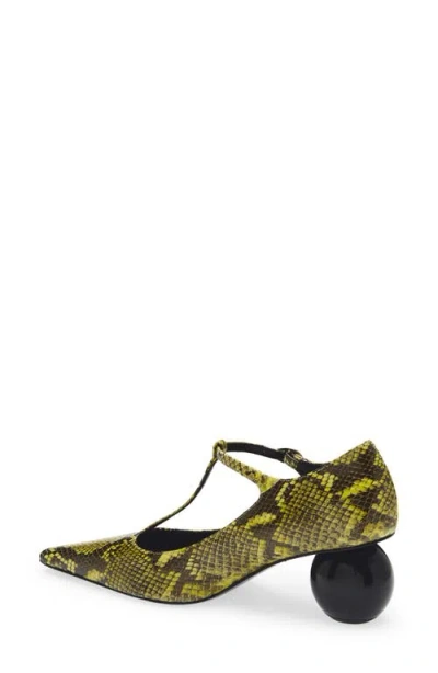Marni Orb T-strap Pointed Toe Snakeskin Embossed Leather Pump In Animal Print
