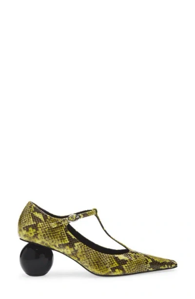 Marni Orb T-strap Pointed Toe Snakeskin Embossed Leather Pump In Animal Print