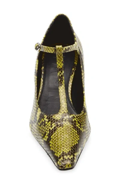 Marni Orb T-strap Pointed Toe Snakeskin Embossed Leather Pump In Animal Print