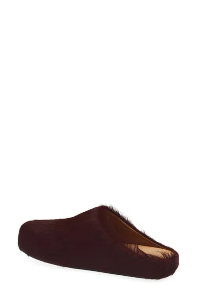Marni Colorful Calf Hair Slip-on Shoes In Brown