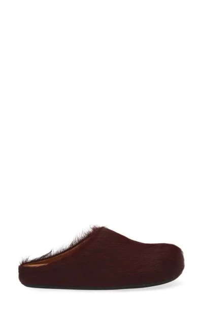 Marni Colorful Calf Hair Slip-on Shoes In Brown