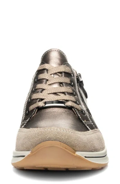 Ara Oleanna Zip Sneaker In Multi