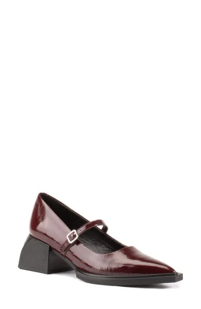 Vagabond Shoemakers Vivian Pointed Toe Mary Jane Pump In Red