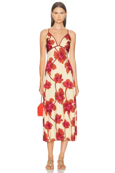 Johanna Ortiz Sendero De Astromelias Floral-print Satin Maxi Dress In Burgundy