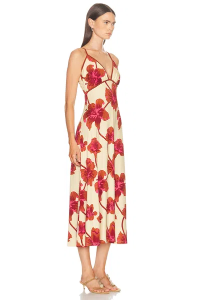 Johanna Ortiz Sendero De Astromelias Floral-print Satin Maxi Dress In Burgundy
