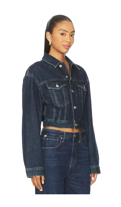Agolde Riley High Waist Crop Straight Leg Jeans In Blue