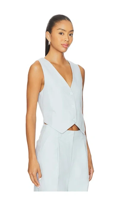 Lioness Leo 조끼 In Blue