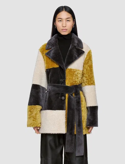 Joseph Martel Overlay Shearling Coat In Multi