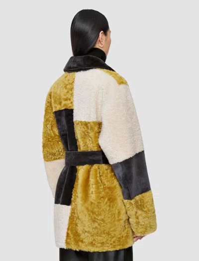 Joseph Martel Overlay Shearling Coat In Multi