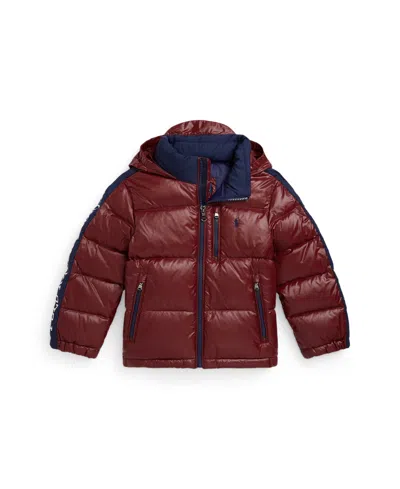 Polo Ralph Lauren Big Boys Logo Down Hooded Jacket In Brown