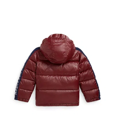 Polo Ralph Lauren Big Boys Logo Down Hooded Jacket In Brown