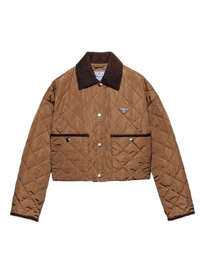 Prada Light Re-nylon Cropped Jacket In Brown