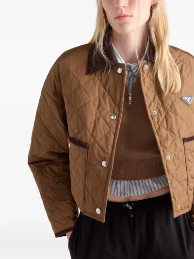 Prada Light Re-nylon Cropped Jacket In Brown