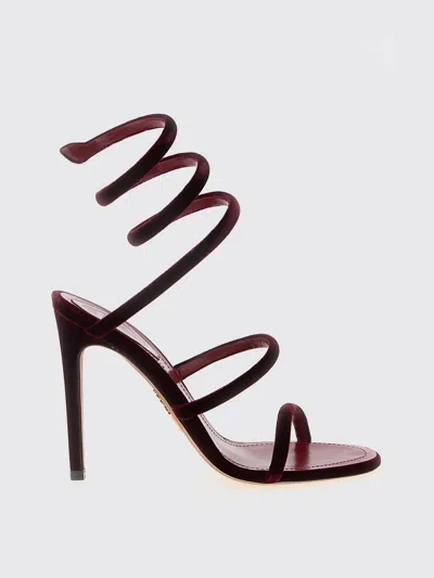 René Caovilla Red Velvet Sandals In Multi