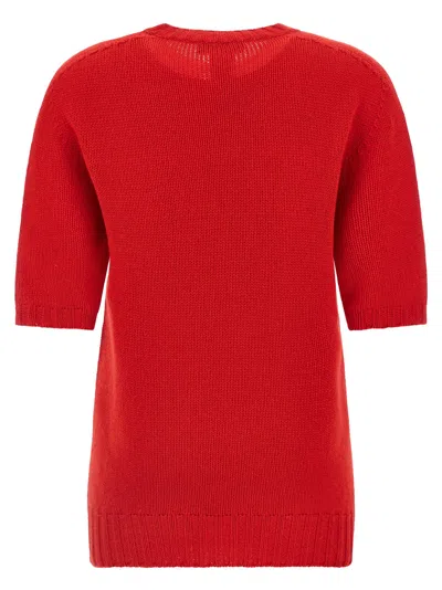 Fabiana Filippi Short Sleeve Cashmere Knit Sweater In Red