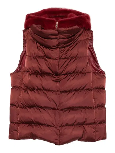 Herno Padded Vest Hood In Red