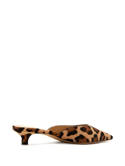 Francesco Russo 25mm Leopard-print Kitten-heel Mules In Multi