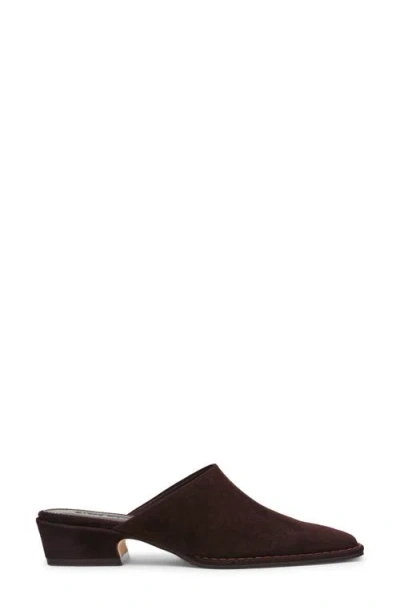 Steve Madden Women's Dessa Mule Pumps In Brown