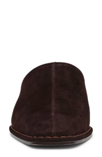 Steve Madden Women's Dessa Mule Pumps In Brown